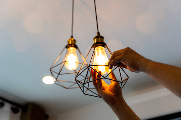 Best Licensed Electrician  in Oreana, IL