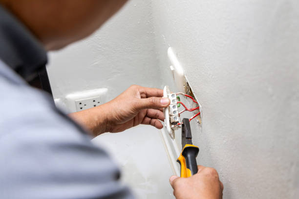 Best Electrician for Home Renovation  in Oreana, IL